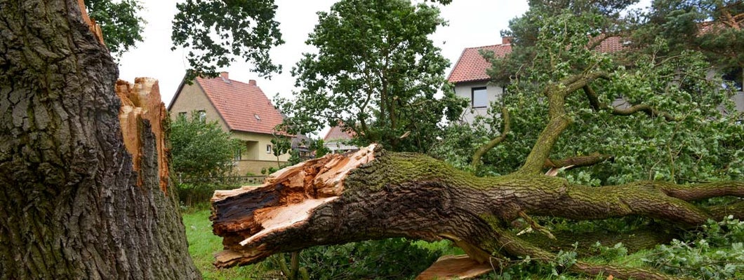 Indiana Liability Coverage Insurance