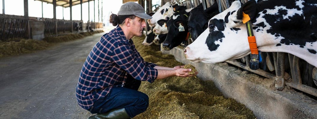 Deerfield Illinois Farm Insurance