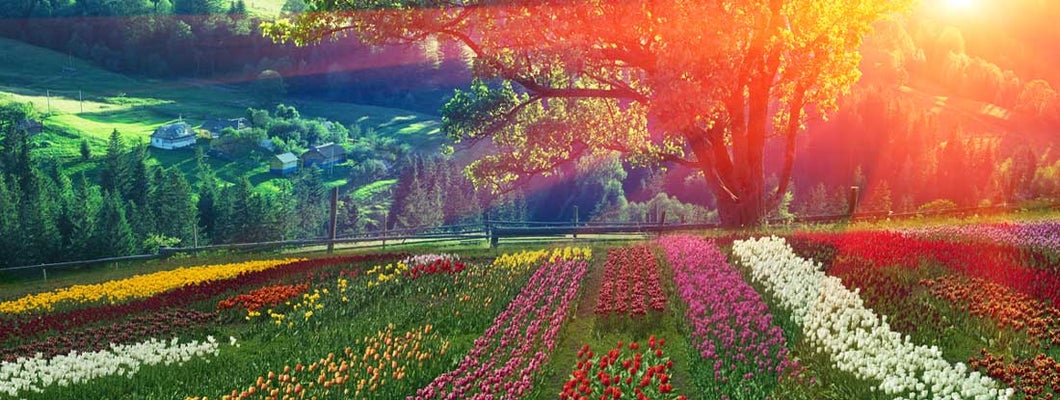 Columbia Maryland life insurance