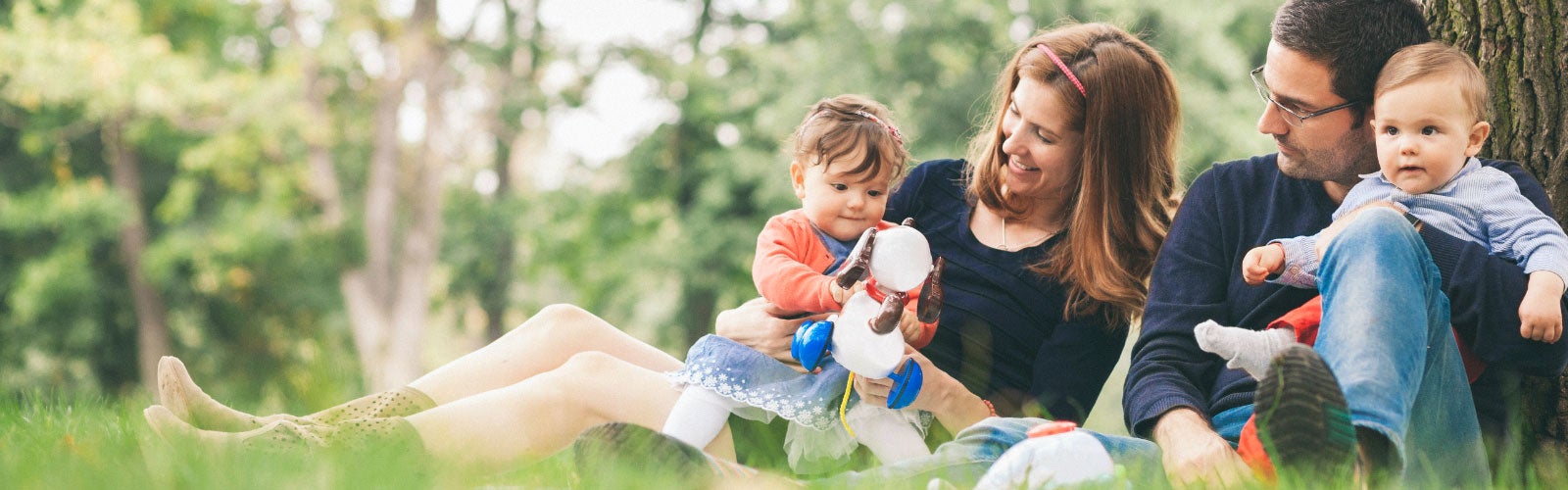 Central Insurance Companies hero