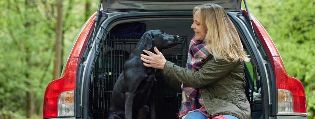 Dracut Massachusetts Car Insurance