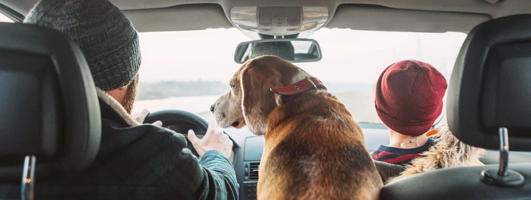 Butler Indiana Car Insurance