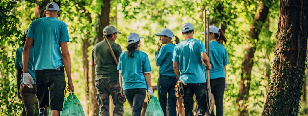 Massachusetts Non Profit Insurance 