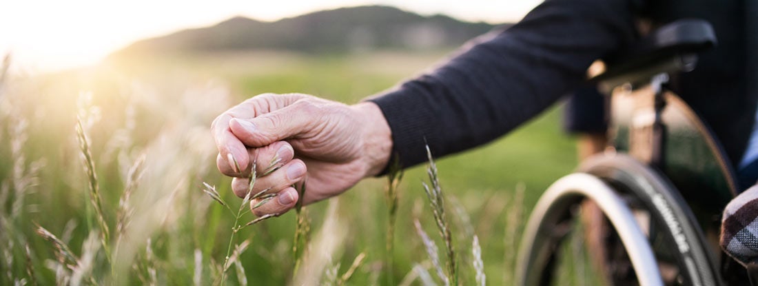 Person in a wheelchair reaching out to touch a blade of grass in a field. Disability insurance benefits period.