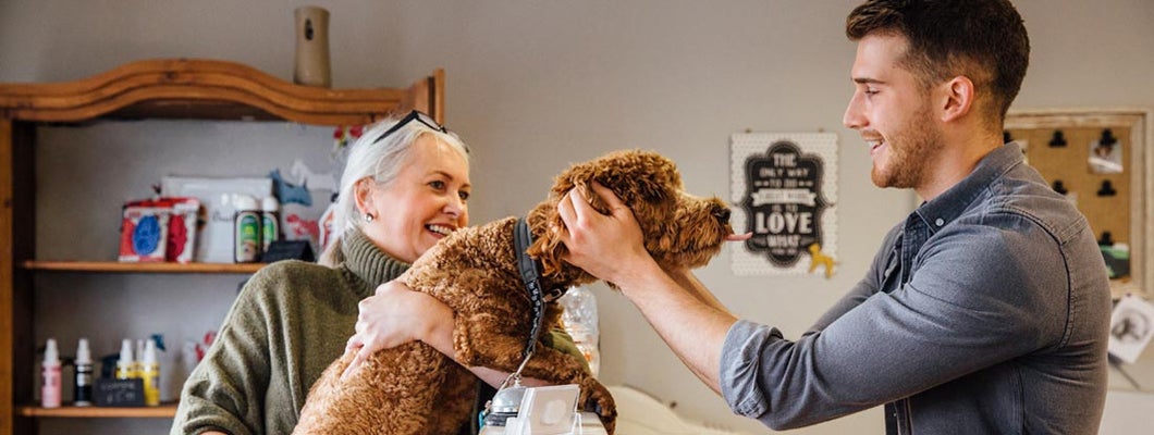 Cheektowaga New York Business Insurance