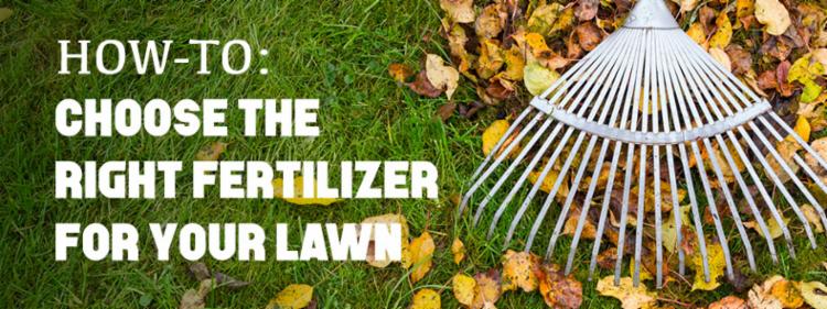 Fall Lawn Fertilzer Trusted Choice