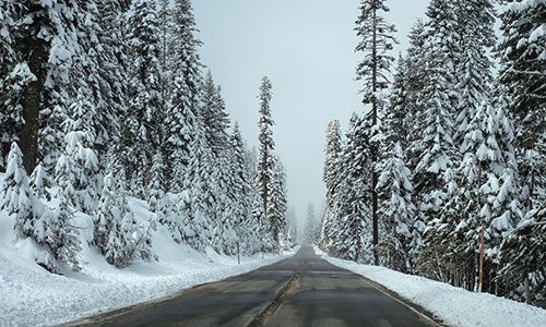 Related Blog Article