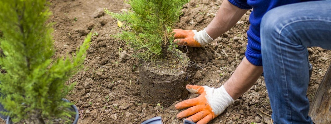 Tennessee Landscapers Insurance