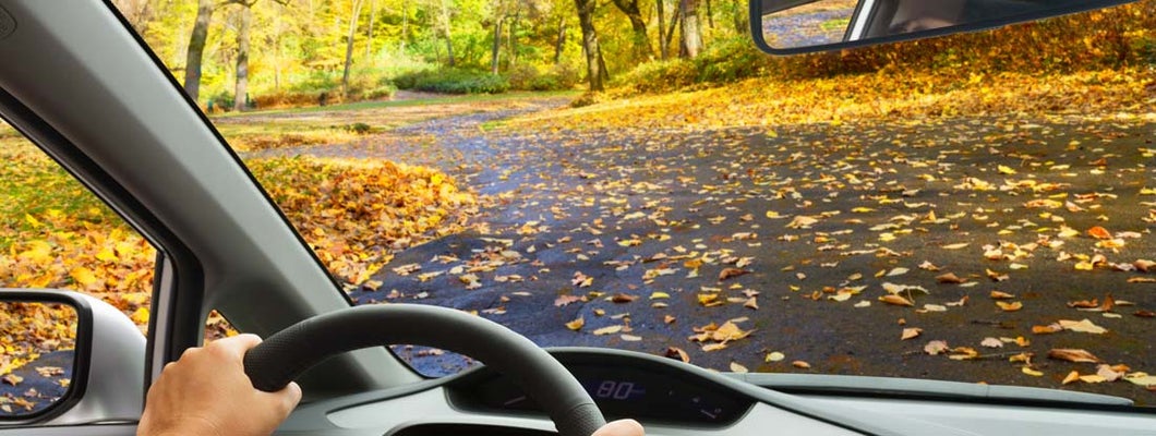 Harrington Delaware Car Insurance