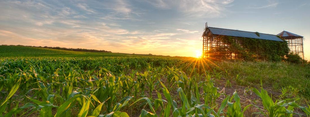 Springfield Illinois Farm Insurance