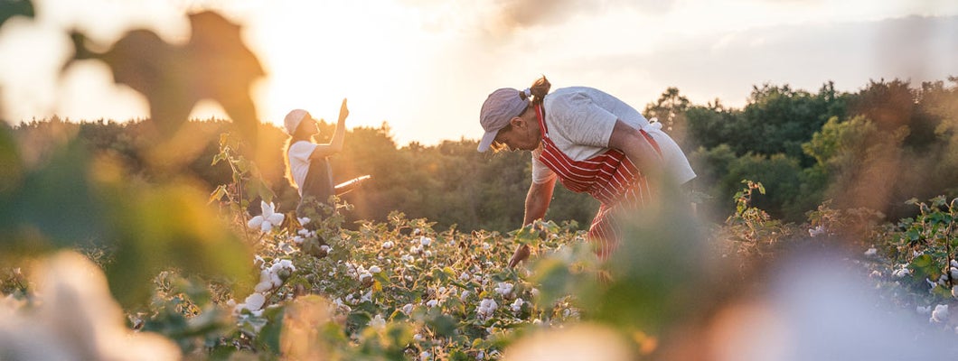 Leland Mississippi business insurance