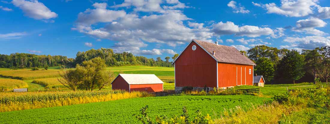 Crop field and Iowa farm at harvest time. Find main farm state laws and regulations.