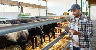 Farm worker is reviewing using digital tablet. Find Farm and Ranch Insurance.