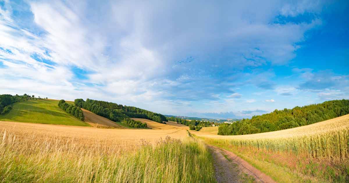 Oklahoma Farm: Laws & Regulations | Trusted Choice