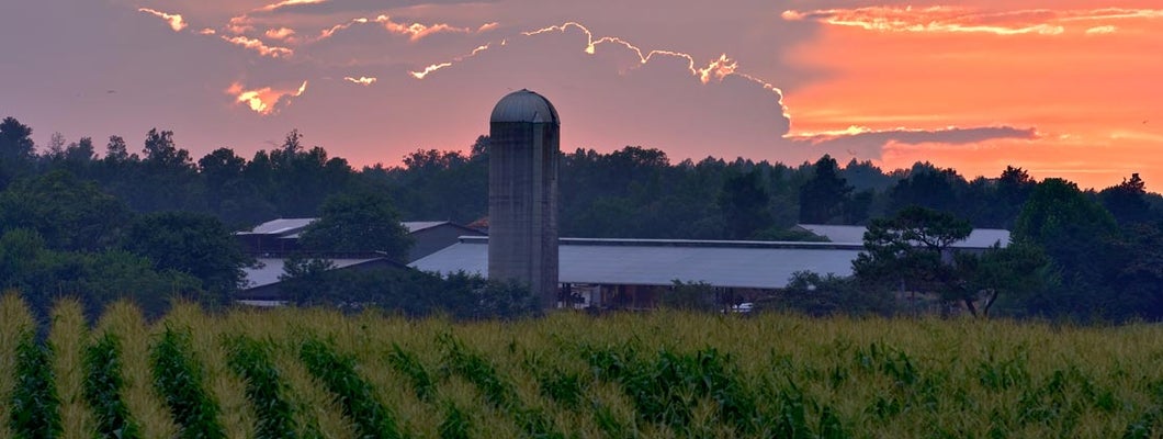 Farm scene at sunset. North Carolina State Laws and Regs.