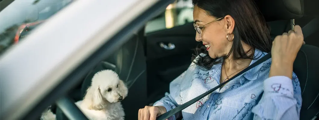 Businesswoman buckling seatbelt in car. Find Parkland, Florida car insurance.