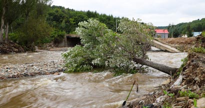 A bridge broken by flood. Fallen tree in the creek. How to prepare for flash flooding in Tennessee.