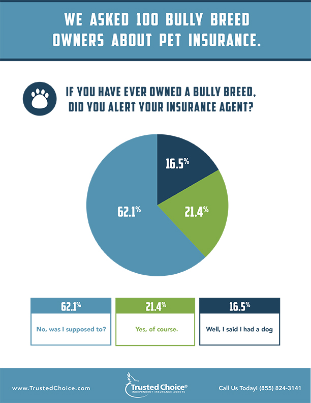 Pet Liability Insurance for Bully Breeds | Trusted Choice