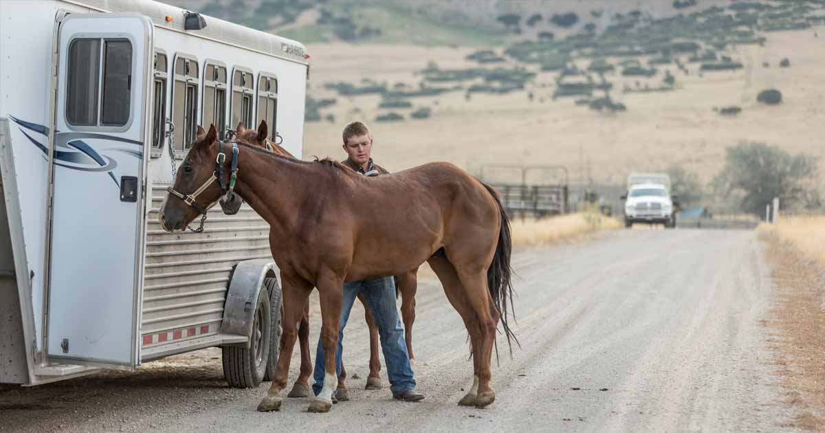 Horse Trailer Insurance Match with an Agent Trusted Choice