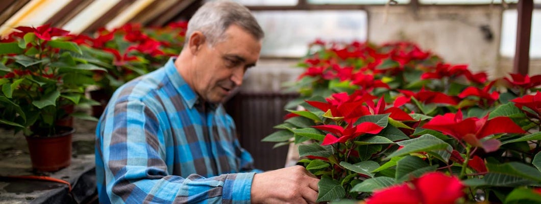 DeKalb Illinois Business Insurance