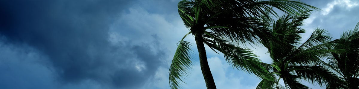 hurricane disaster plan