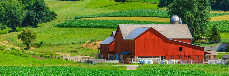 Carbondale Illinois Farm Insurance