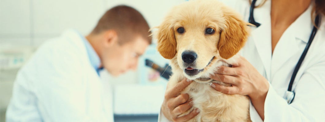 Ames Iowa business insurance