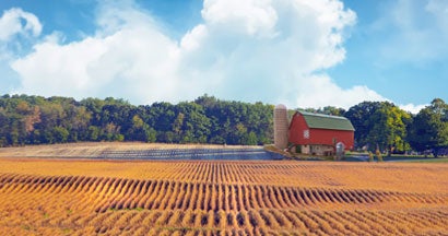 Rolling soybean field with red barn. Find Farm Insurance.