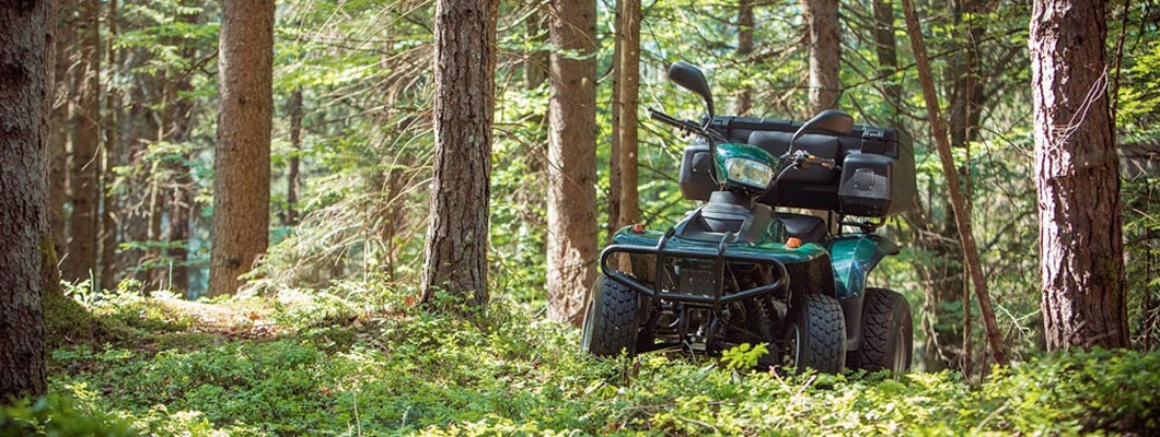 atv dealers near my location