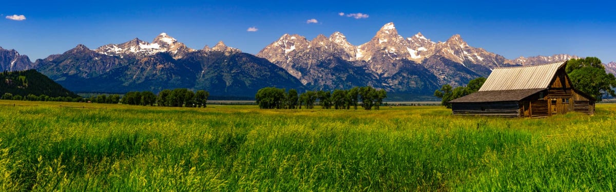 Wyoming Car Insurance Match with an Agent Trusted Choice