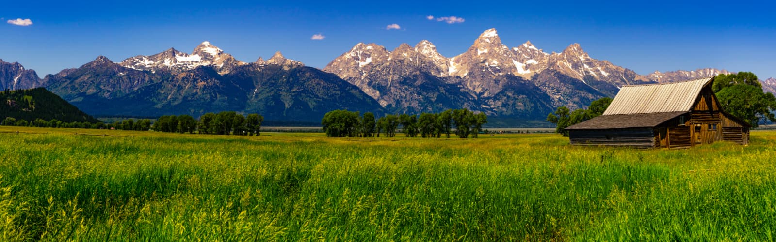 Wyoming Home Insurance Match with an Agent Trusted Choice