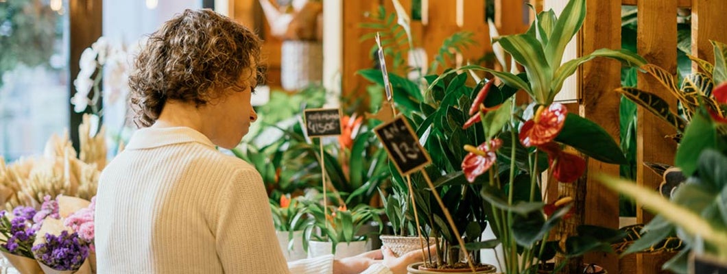 Cambridge Maryland Business Insurance