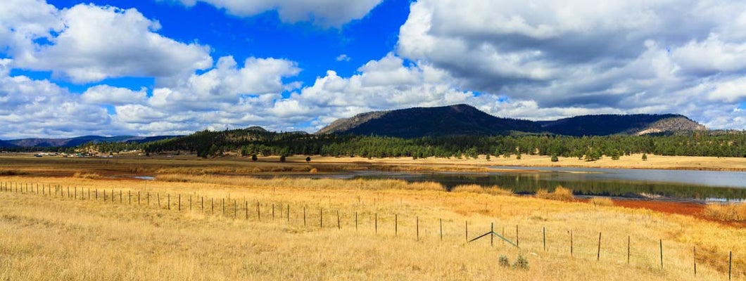 New Mexico Farm Insurance