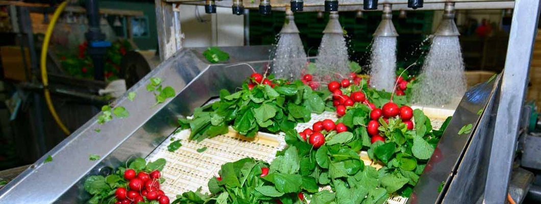 Perishable Prepared Food Manufacturing