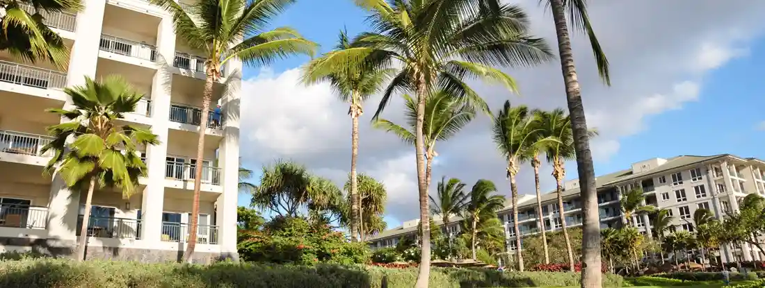 Palm trees in the foreground of recreational properties along Kaanapali beach in Maui. Find Hawaii Condo Insurance.