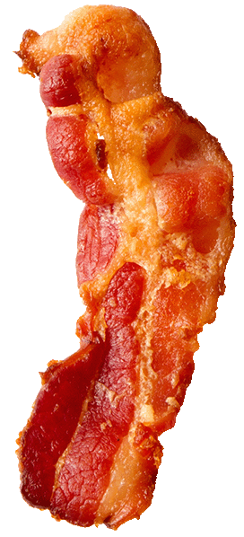 Bacon 6