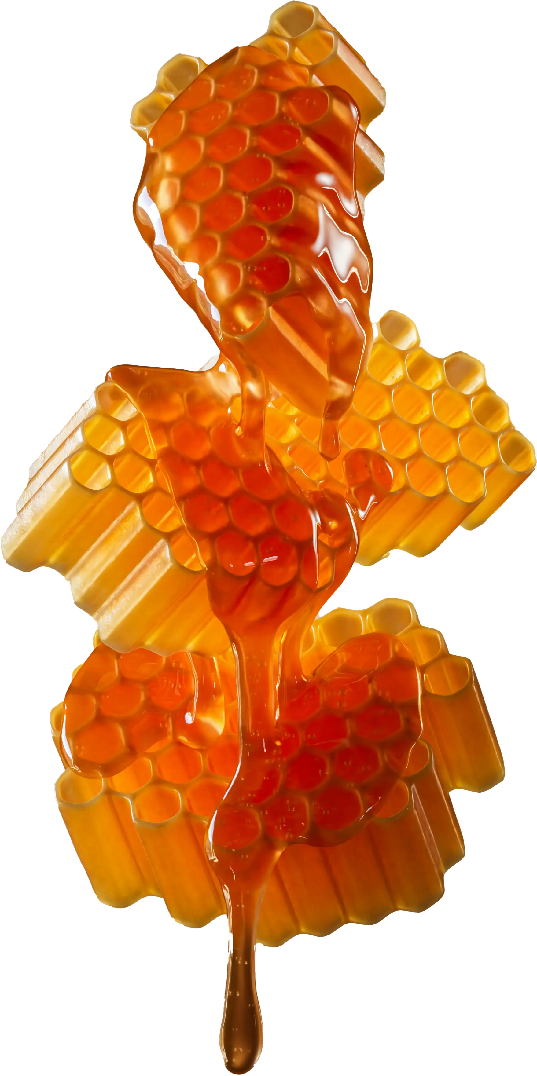 Honey dipper with honey