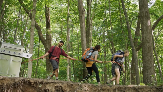 Video Image