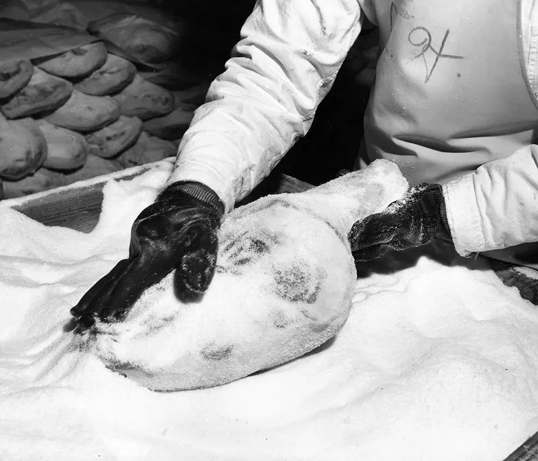 Ham-curing process