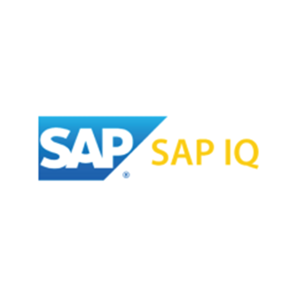SAP IQ