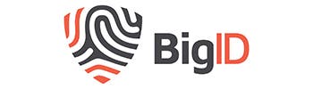 BigID logo