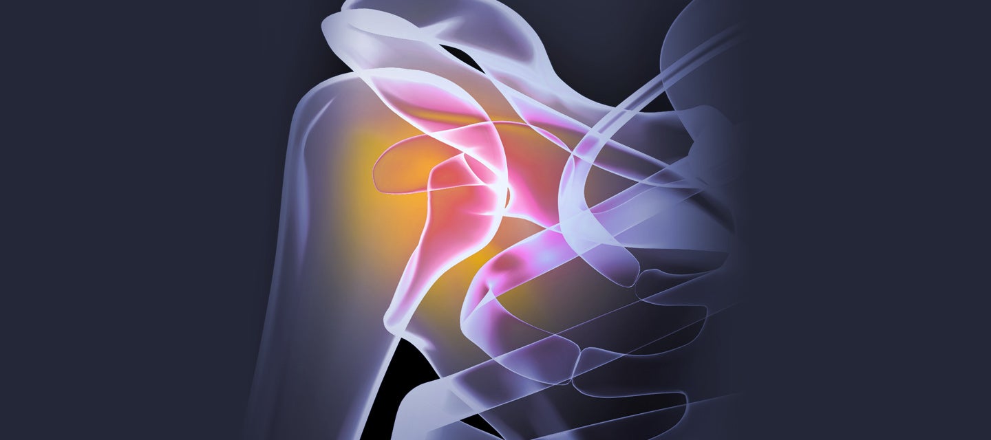 A graphic of shoulder bones