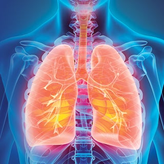 Image of lungs