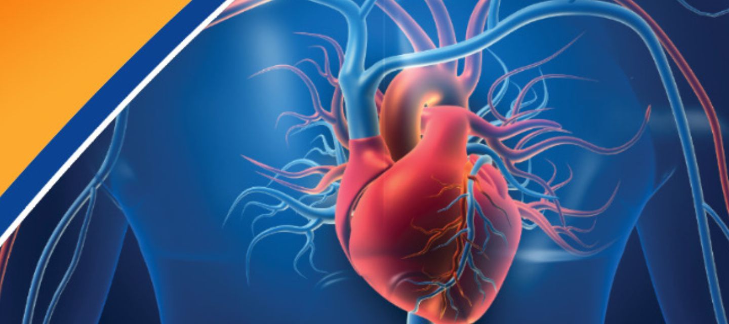 Illustration of a heart