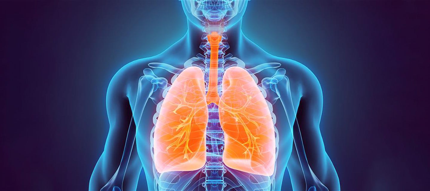 A stylised internal image of a human torso with the lungs and trachea highlighted