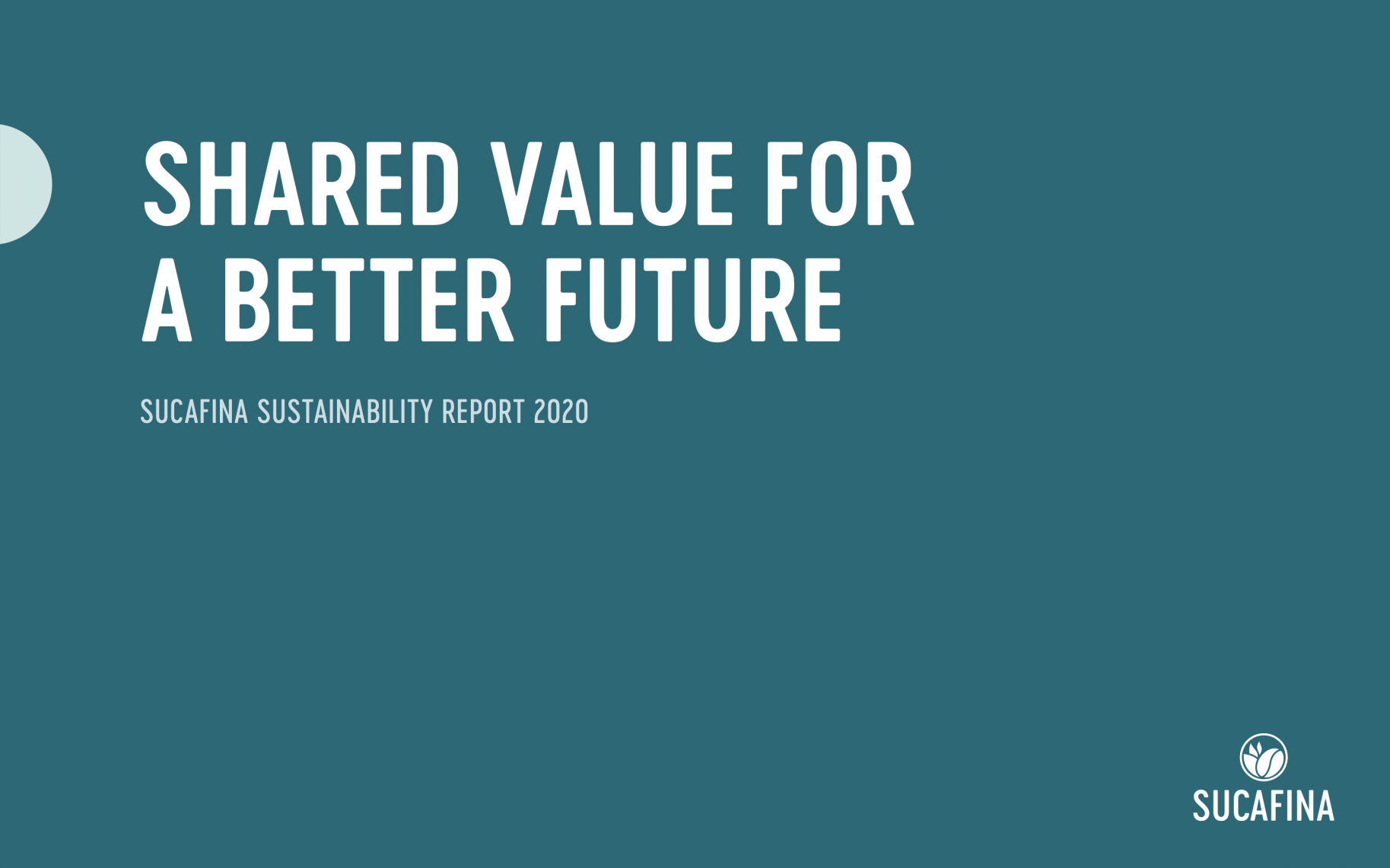 2020 report preview