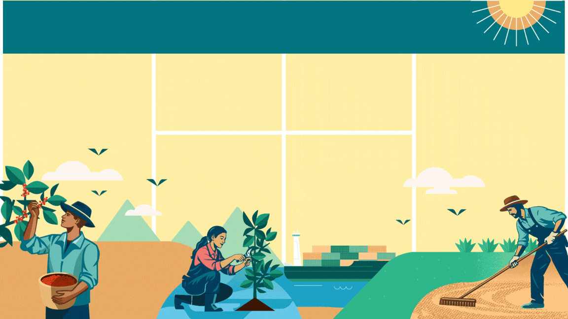 Sucafina 2025 sustainability report in numbers