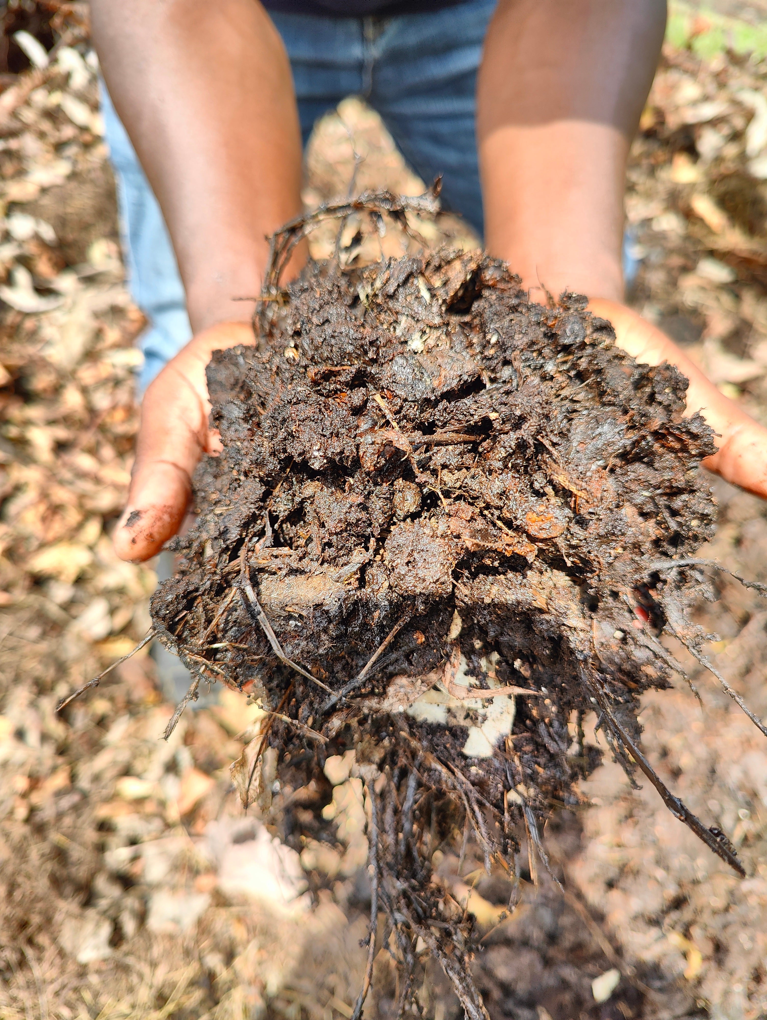 Rwacof compost