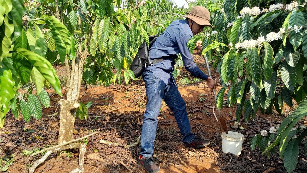 Vietnam soil analysis
