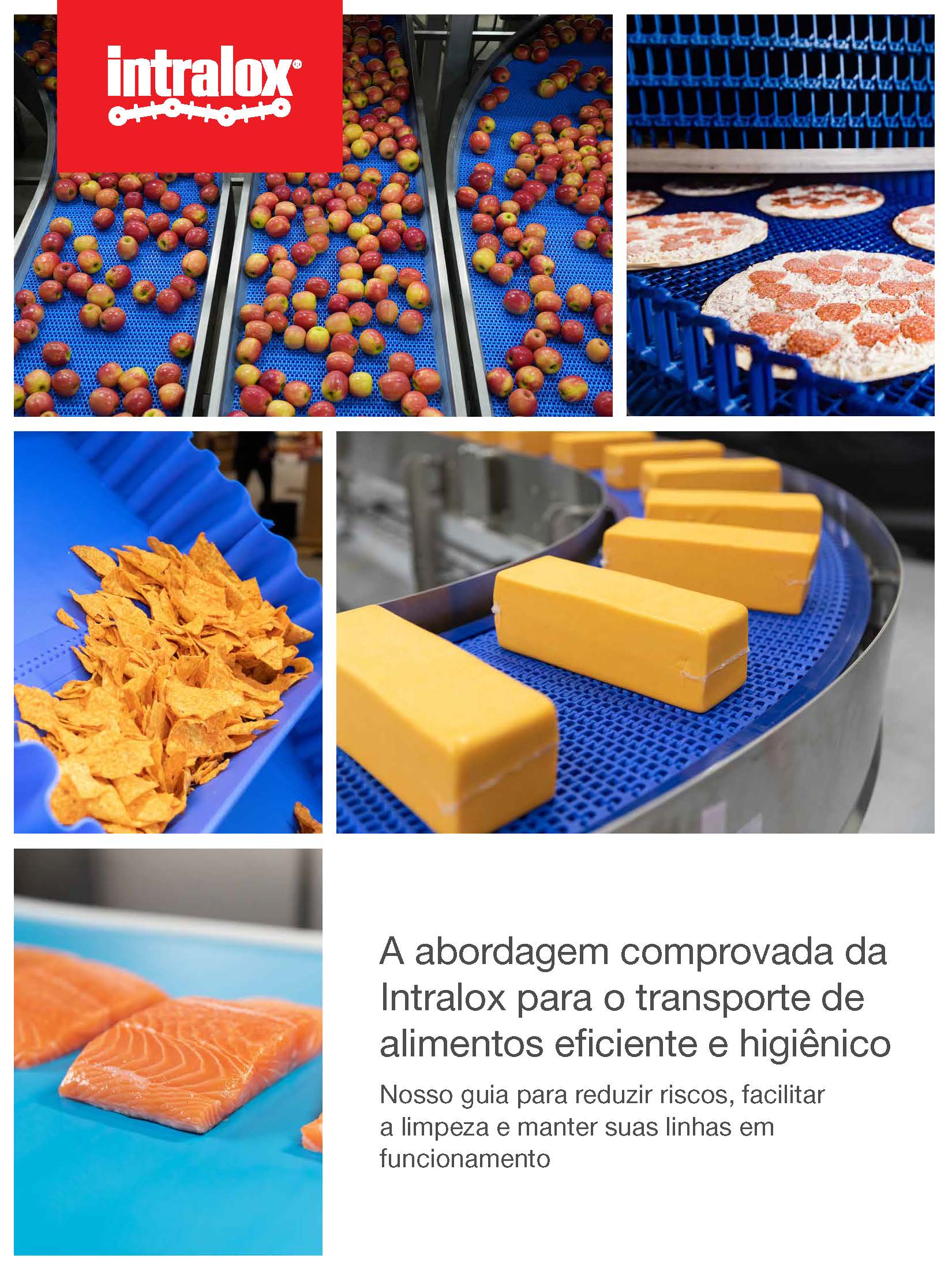 Miniatura de apresentação intitulada "Abordagem comprovada da Intralox para transporte eficiente e higiênico de alimentos"